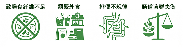 肠道健康对现代生活的重要性